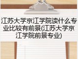 江苏大学京江学院读什么专业比较有前景(江苏大学京江学院前景专业)