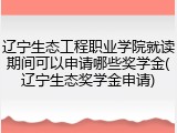 辽宁生态工程职业学院就读期间可以申请哪些奖学金(辽宁生态奖学金申请)