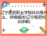 辽宁医药职业学院校训是什么，详细阐述(辽宁医药校训详解)