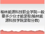 榆林能源科技职业学院一般要多少分才能录取(榆林能源科技学院录取分数)