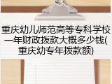 重庆幼儿师范高等专科学校一年财政拨款大概多少钱(重庆幼专年拨款额)