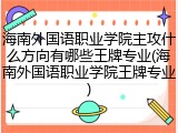海南外国语职业学院主攻什么方向有哪些王牌专业(海南外国语职业学院王牌专业)