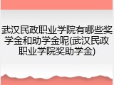 武汉民政职业学院有哪些奖学金和助学金呢(武汉民政职业学院奖助学金)