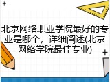 北京网络职业学院最好的专业是哪个，详细阐述(北京网络学院最佳专业)