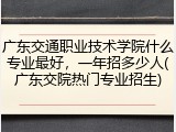 广东交通职业技术学院什么专业最好，一年招多少人(广东交院热门专业招生)