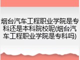 烟台汽车工程职业学院是专科还是本科院校呢(烟台汽车工程职业学院是专科吗)