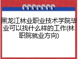 黑龙江林业职业技术学院毕业可以找什么样的工作(林职院就业方向)