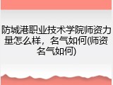 防城港职业技术学院师资力量怎么样，名气如何(师资名气如何)