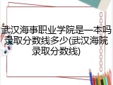 武汉海事职业学院是一本吗录取分数线多少(武汉海院录取分数线)