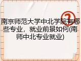 南京师范大学中北学院有哪些专业，就业前景如何(南师中北专业就业)