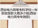 西安电力高等专科学校一年财政拨款大概多少钱(西安电力高专年拨款)