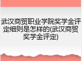 武汉商贸职业学院奖学金评定细则是怎样的(武汉商贸奖学金评定)