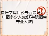宿迁学院什么专业最好，一年招多少人(宿迁学院招生专业人数)