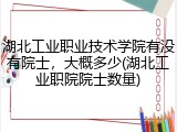 湖北工业职业技术学院有没有院士，大概多少(湖北工业职院院士数量)