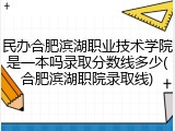 民办合肥滨湖职业技术学院是一本吗录取分数线多少(合肥滨湖职院录取线)