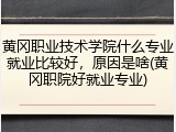 黄冈职业技术学院什么专业就业比较好，原因是啥(黄冈职院好就业专业)