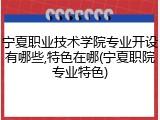 宁夏职业技术学院专业开设有哪些,特色在哪(宁夏职院专业特色)