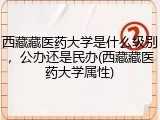 西藏藏医药大学是什么级别，公办还是民办(西藏藏医药大学属性)