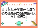 重庆医科大学是什么级别，公办还是民办(重庆医科大学性质级别)