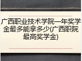 广西职业技术学院一年奖学金最多能拿多少(广西职院最高奖学金)