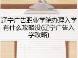 辽宁广告职业学院办理入学有什么攻略没(辽宁广告入学攻略)