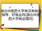 湖北中医药大学有没有就业指导，好就业吗(湖北中医药大学就业情况)