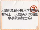 太湖创意职业技术学院有没有院士，大概多少(太湖创意学院有院士吗)