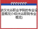 武汉光谷职业学院的专业设置概况介绍(光谷职院专业概览)