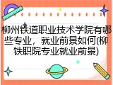 柳州铁道职业技术学院有哪些专业，就业前景如何(柳铁职院专业就业前景)
