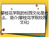 攀枝花学院的校园文化是什么，简介(攀枝花学院校园文化)