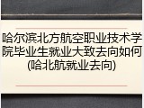 哈尔滨北方航空职业技术学院毕业生就业大致去向如何(哈北航就业去向)