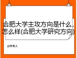 合肥大学主攻方向是什么，怎么样(合肥大学研究方向)