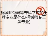 桐城师范高等专科学校的王牌专业是什么(桐城师专王牌专业)