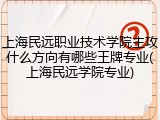 上海民远职业技术学院主攻什么方向有哪些王牌专业(上海民远学院专业)