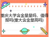 重庆大学含金量量吗，值得报吗(重大含金量高吗)