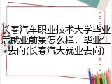 长春汽车职业技术大学毕业后就业前景怎么样，毕业生去向(长春汽大就业去向)