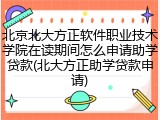 北京北大方正软件职业技术学院在读期间怎么申请助学贷款(北大方正助学贷款申请)