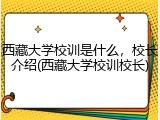 西藏大学校训是什么，校长介绍(西藏大学校训校长)