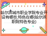 哈尔滨城市职业学院专业开设有哪些,特色在哪(哈尔滨职院特色专业)