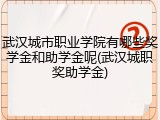 武汉城市职业学院有哪些奖学金和助学金呢(武汉城职奖助学金)