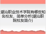 潮汕职业技术学院有哪些知名校友，简单分析(潮汕职院校友简介)