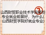 山西财贸职业技术学院哪些专业就业前景好，为什么(山西财贸学院好就业专业)