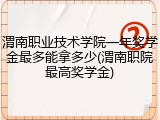 渭南职业技术学院一年奖学金最多能拿多少(渭南职院最高奖学金)