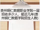 贵州铜仁数据职业学院一届招收多少人，最近几年(贵州铜仁数据学院招生人数)