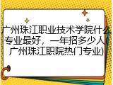 广州珠江职业技术学院什么专业最好，一年招多少人(广州珠江职院热门专业)