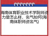 海南体育职业技术学院师资力量怎么样，名气如何(海南体职师资名气)
