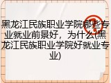 黑龙江民族职业学院哪些专业就业前景好，为什么(黑龙江民族职业学院好就业专业)