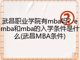 武昌职业学院有mba吗？emba和mba的入学条件是什么(武昌MBA条件)