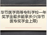毕节医学高等专科学校一年奖学金最多能拿多少(毕节医专奖学金上限)