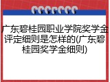 广东碧桂园职业学院奖学金评定细则是怎样的(广东碧桂园奖学金细则)